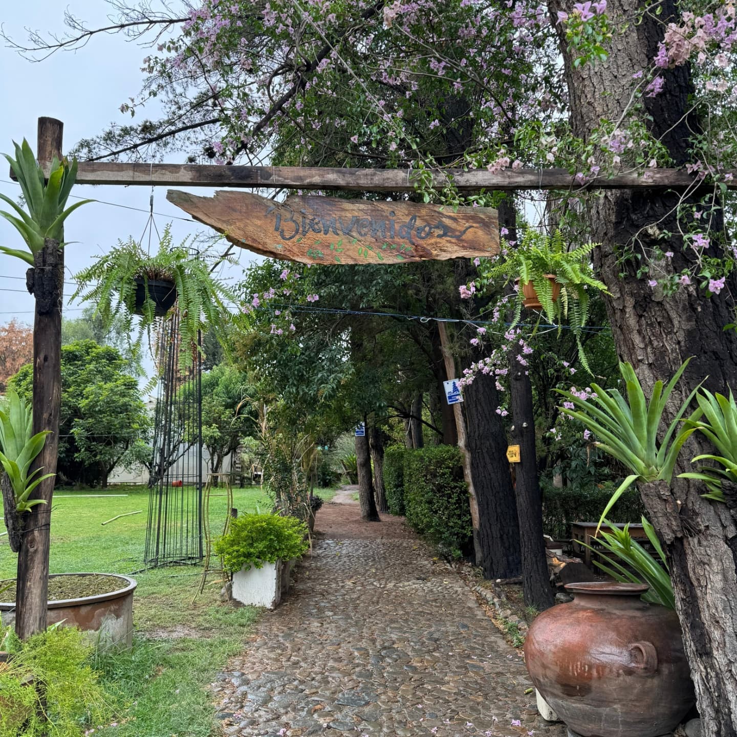 Natural path at Agroflori Biopark