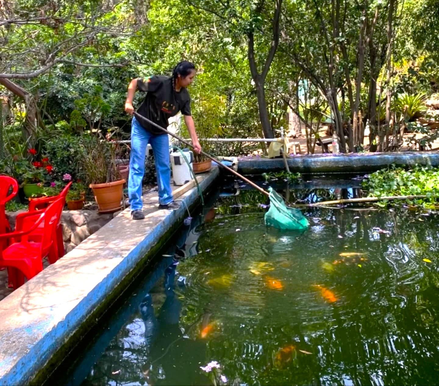 Cleaning and Maintenance